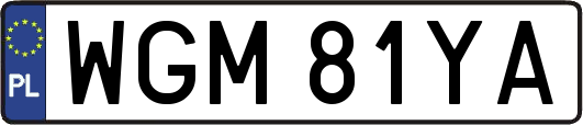 WGM81YA