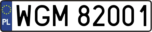 WGM82001