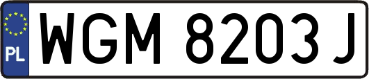 WGM8203J