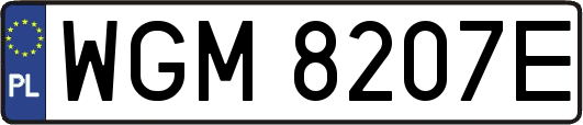 WGM8207E