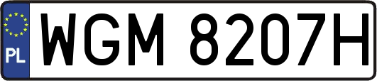 WGM8207H