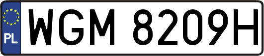 WGM8209H