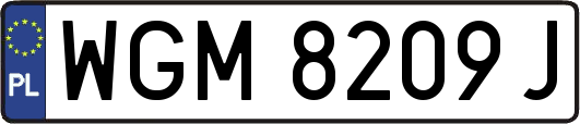 WGM8209J