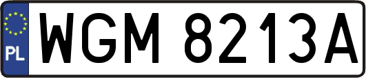 WGM8213A