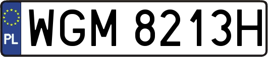 WGM8213H