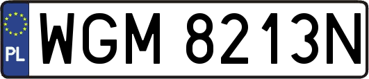 WGM8213N