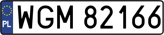 WGM82166