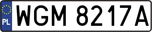 WGM8217A
