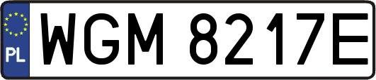 WGM8217E