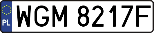 WGM8217F