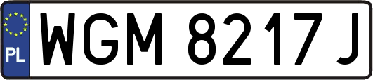 WGM8217J