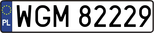 WGM82229