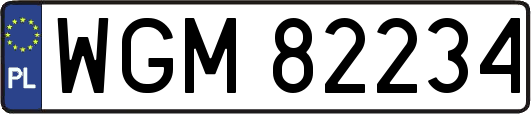 WGM82234