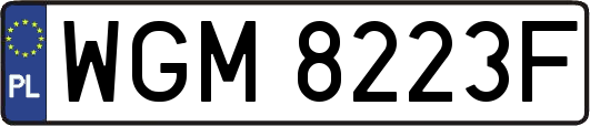 WGM8223F