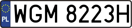 WGM8223H