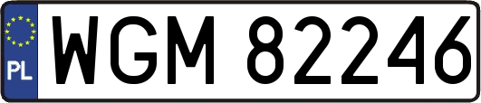 WGM82246