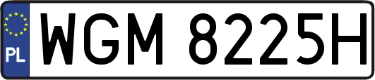 WGM8225H