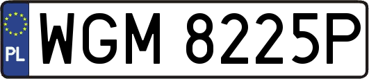 WGM8225P