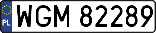WGM82289