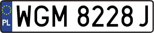 WGM8228J