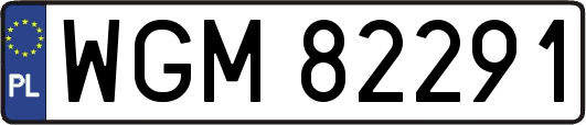 WGM82291