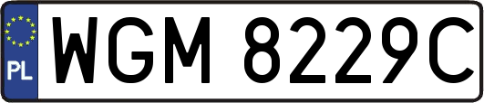 WGM8229C
