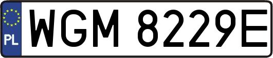 WGM8229E