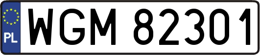 WGM82301