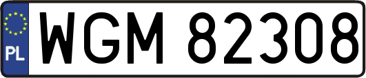 WGM82308