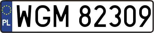WGM82309