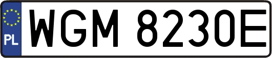 WGM8230E