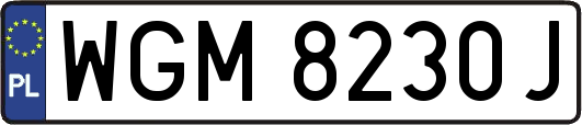 WGM8230J