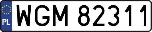 WGM82311