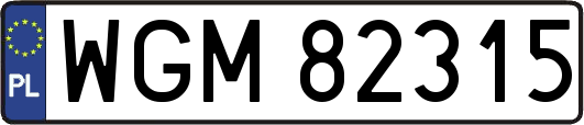 WGM82315