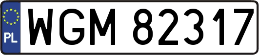 WGM82317