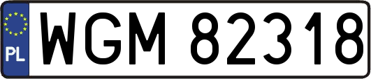 WGM82318