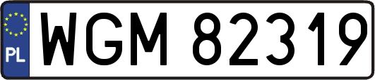WGM82319