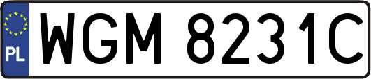 WGM8231C