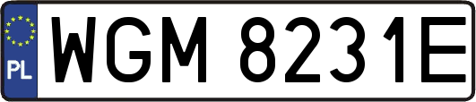 WGM8231E