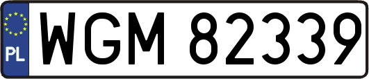 WGM82339