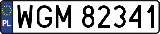 WGM82341