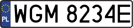 WGM8234E