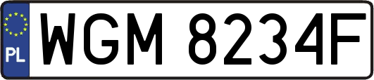 WGM8234F