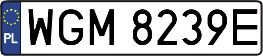 WGM8239E