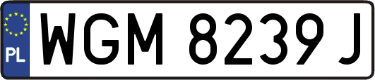 WGM8239J