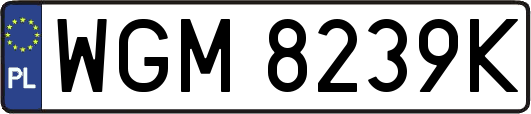 WGM8239K