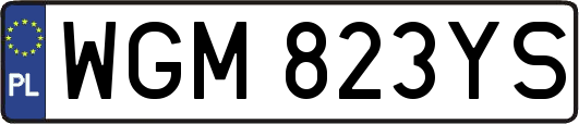 WGM823YS