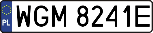 WGM8241E