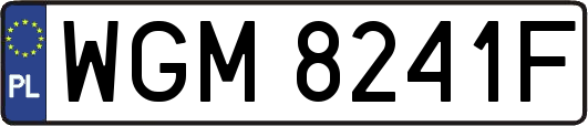 WGM8241F