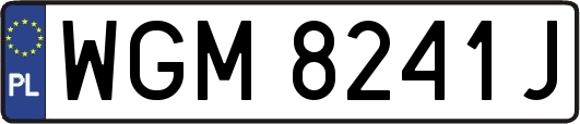 WGM8241J